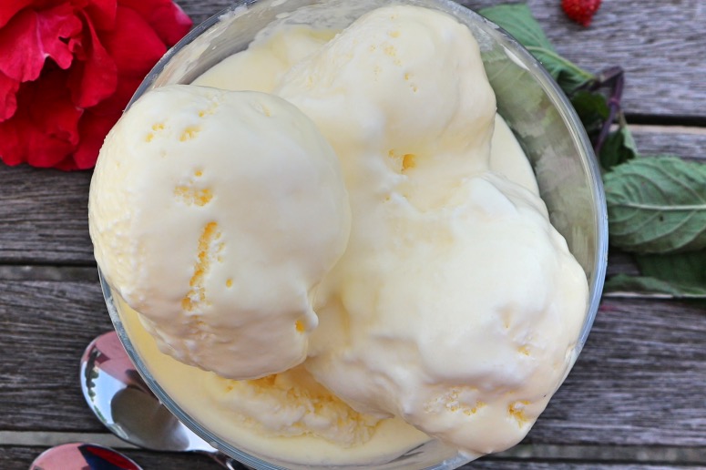How to make Plombir: Recipe for the most popular Russian ice cream