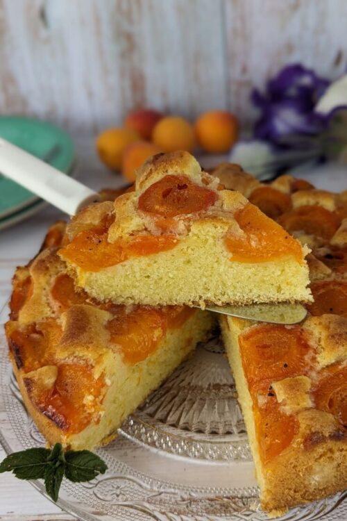 Apricot pound cake recipe with fresh apricots