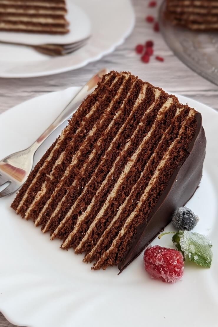 Russian chocolate honey layer cake