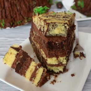 Tree stump cake / tree trunk cake