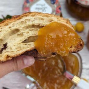Cherry plum jam recipe