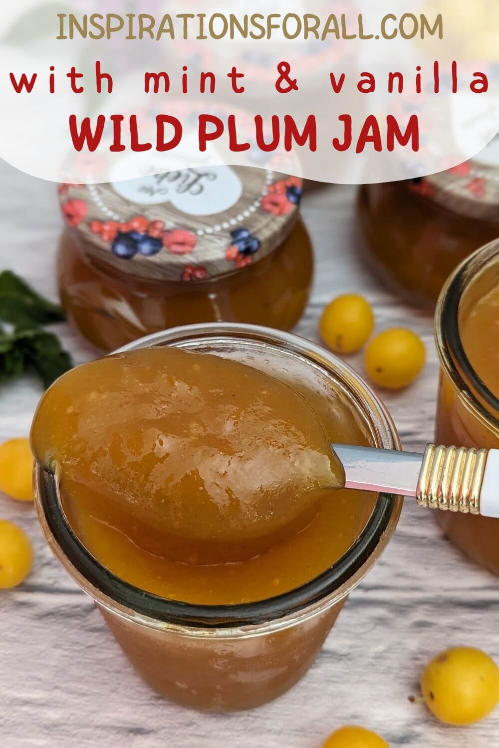 Pin Cherry plum jam